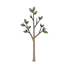 Tree with Green Leaves