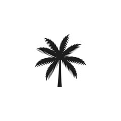Fototapeta premium Palm Tree Silhouette