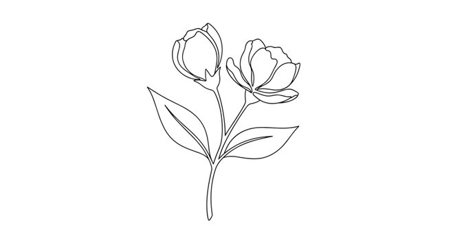 Delicate single line art illustration of two elegant flower buds with leaves on a stem against a plain white background.