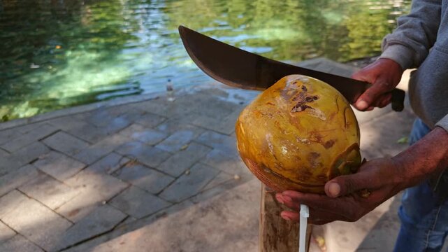 Street vendor using large machete to skillfully cut open fresh green coconut for coconut water in Neiba, Dominican Republic