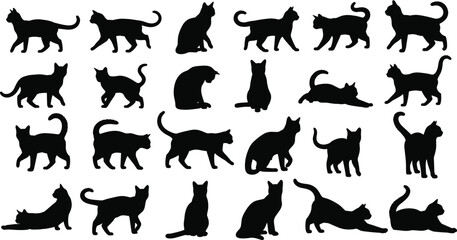 Black cat silhouette pose collection, multiple domestic feline walking sitting playing and stretching positions, realistic pet animal vector illustration set © Itz Nur