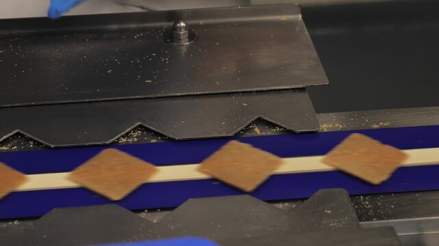 Static overhead shot of gloved hands placing square sugar candies onto a stainless-steel conveyor machine inside a confectionery factory in Brussels.
