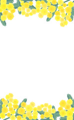 手描きのミモザの上下フレーム_縦