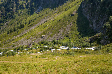 A narrow river winds through a rugged green slope in the Pyrenees, bordered by rocky terrain and scattered trees under bright summer sunlight.