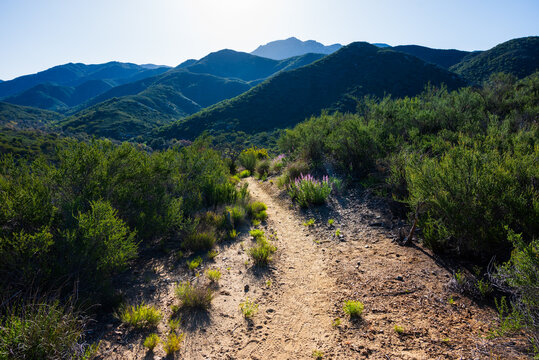 Breathtaking high desert mountain views on the Pacific Crest Trail