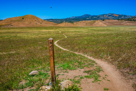 Scenic meadow vista on the Pacific Crest Trail