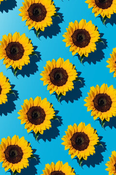 Yellow sunflowers pattern on blue background pop art.