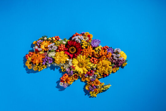 Map of Ukraine shape made of flowers on blue.