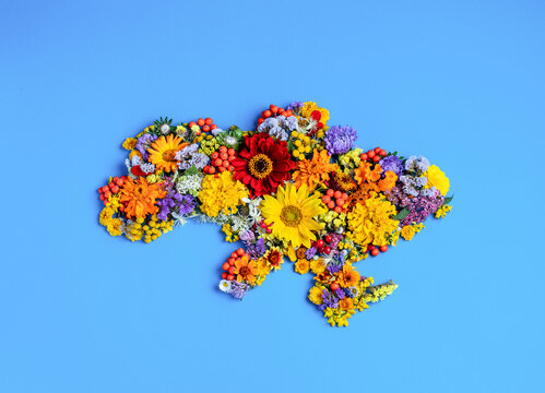 Floral map of Ukraine flat lay on blue background.