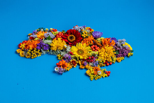 Floral map of Ukraine f on blue background.