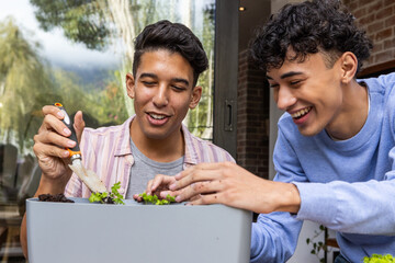 Two male friends planting seedlings using trowel, potting soil in planter box on balcony patio