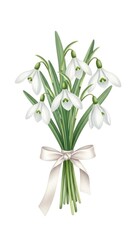 Elegant Snowdrop Bouquet with White Ribbon Watercolor Illustration.
