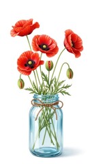 Vibrant Red Poppies in a Clear Blue Mason Jar on White Background.