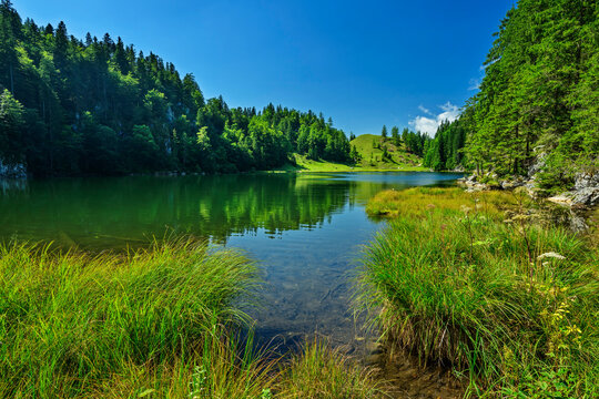 Alpine Lake Taubensee in Tyrol Austria with tranquil scenic nature
