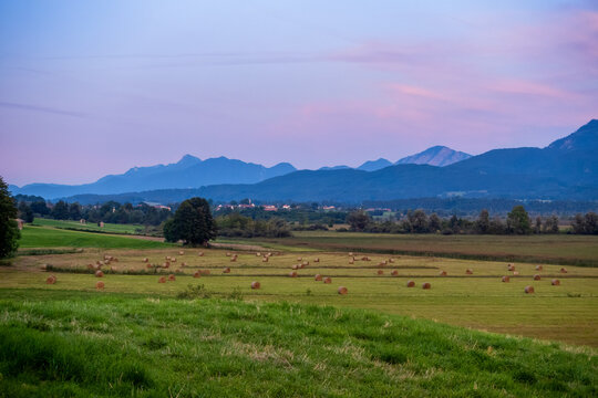 Hay bales on pasture in Murnauer Moos at evening with mountains in Bavaria