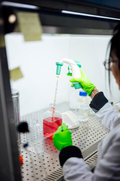 Scientist using pipette for experiment in laboratory setting