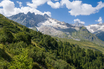 Obraz premium Steep green slopes covered with dense pine trees rise toward dramatic rocky mountains and a glacier under a bright blue sky with scattered clouds in Vallee de l'A Neuve, Switzerland.