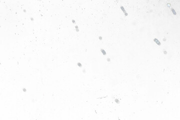 Dark grunge dust texture overlay with scratches and particles