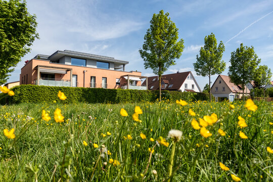 Modern multi-family house and detached houses in Augsburg with flower meadow