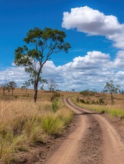 Fototapeta premium Dirt road winding rural landscape cloudy sky