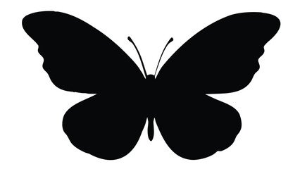 Black butterfly silhouette vector graphic