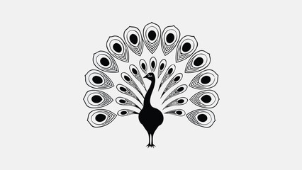 Vector peacock silhouette with spread tail feathers