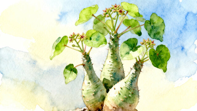 Soft Watercolor Painting of Rare Desert Succulents with Thick Trunks and Green Leaves ,Watercolor Illustration of Exotic Caudiciform Succulent Plants with Thorny Stems