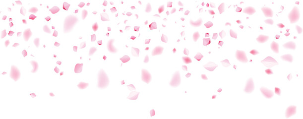 Obraz premium romantic pink rose petals falling love anniversary surprise celebration banner background 
