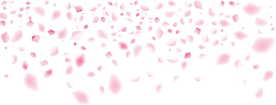 valentine heart rose petals medium density falling love anniversary surprise floral background