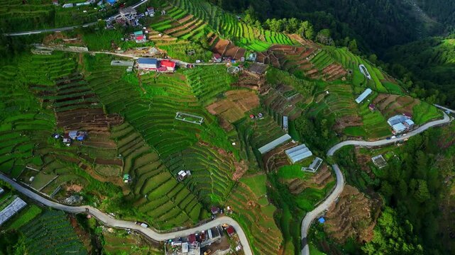 Slow side left aerial over Atok Benguet, Halsema Highway former highest mountain area in the Philippines showing a zigzag highway leading into lush vegetable fields a rural mountain farming.