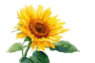 Naklejka premium Artistic Sunflower Rendered in Loose Brushstroke Technique isolated on transparent background