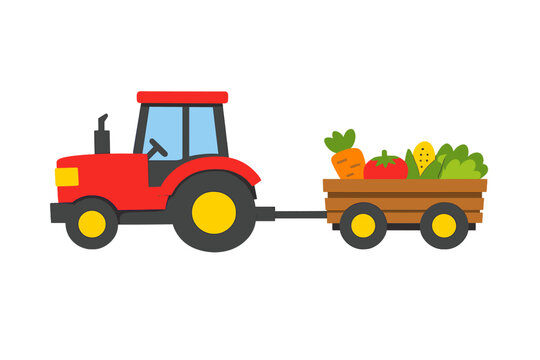 Tractor pulls trailer full of fresh vegetables during farming season in a rural area