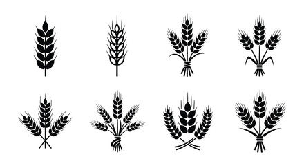 Black and white illustration of various wheat and grain bundles © MdNirob