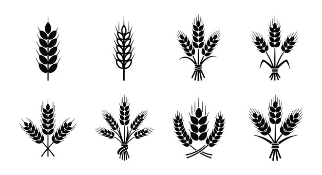 Black and white illustration of various wheat and grain bundles