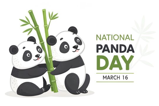 Adorable cartoon illustration featuring two cute giant pandas happily hugging bright green bamboo stalks to celebrate national panda day on march sixteen