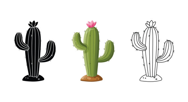 Set of three saguaro cactus illustrations in black silhouette, color, and outline styles