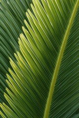 Close-up of vibrant green palm leaf with detailed veins and texture