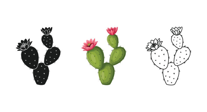 Prickly pear cactus with flowers illustration set in silhouette, color, and outline styles