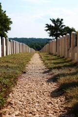 Pathway through peaceful cemetery with aligned white headstones