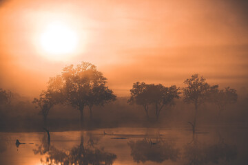 Fototapeta premium Sunrise behind an ephemeral pan landscape in the Kruger National Park. 
