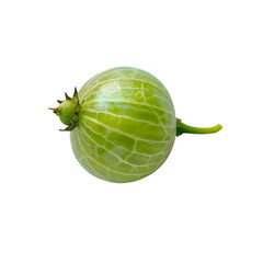 Single ripe green gooseberry with delicate veins and stem isolated on black background, macro detail