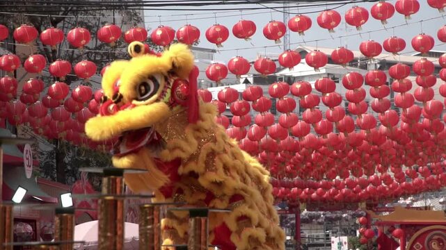 Chinese lion dance performing during  the Lunar New Year festival.