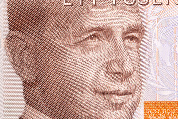 Dag Hammarskjold a closeup portrait from Swedish money
