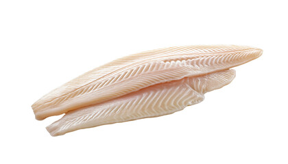 Delicate Fish Fillets An eye-level shot captures two fresh, raw fish fillets. Showcasing the natural texture and appetizing appearance, perfect for culinary and seafood concepts. 
