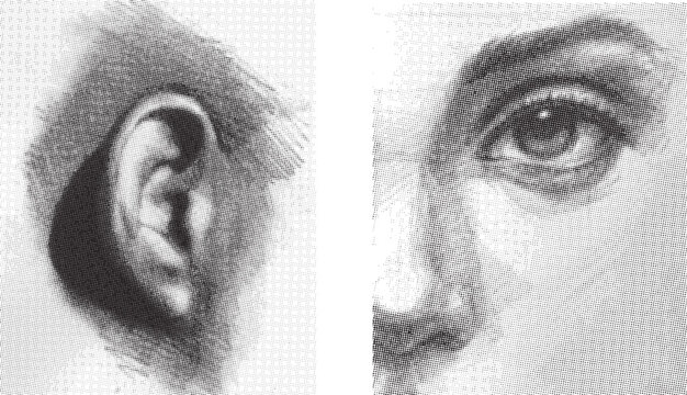 Realistic pencil sketch vector illustration of human ear and eye. Hand drawn anatomy study of face parts in charcoal style.