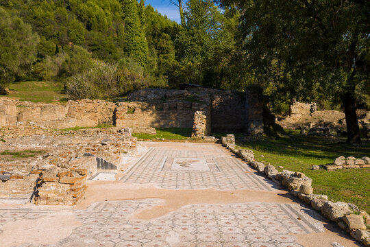 Ancient mosaic floors and weathered stone walls of the Kronion Baths stand amid grassy terrain and lush forest in Olympia, Greece. Warm afternoon sunlight highlights intricate patterns and historic