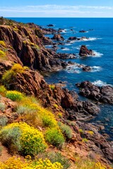 Mediterranean coastline showing rocky cliffs and yellow flowers