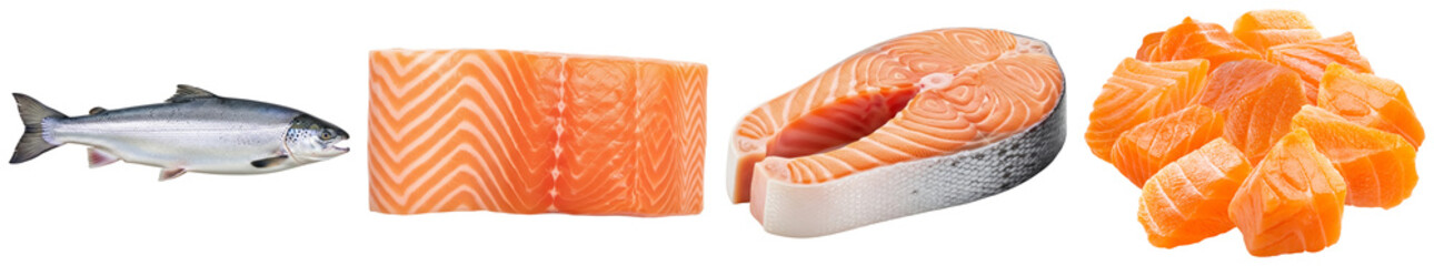 collection of fresh raw atlantic salmon variations including whole fish, steak, fillet, and diced pieces, isolated. © Shani