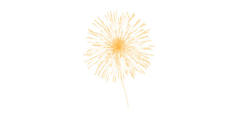 Obraz premium A vibrant golden fireworks burst lighting up the night sky symbolizing pure joy and awe for festive celebrations