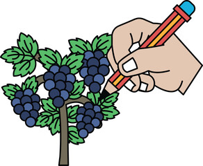 Obraz premium A hand is drawing a picture of a tree with grapes on it